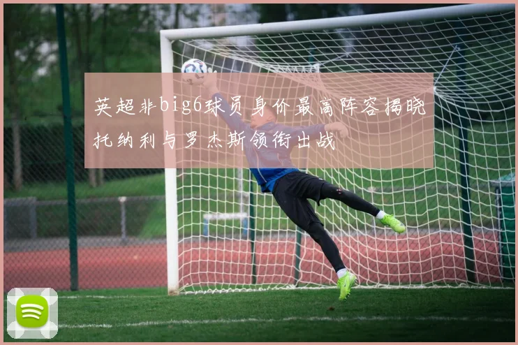 英超非big6球员身价最高阵容揭晓托纳利与罗杰斯领衔出战